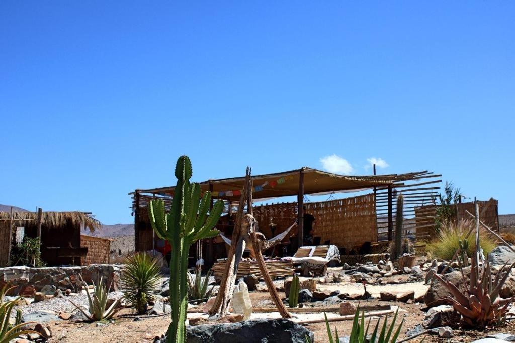 Campo De Cielo Mamalluca Valle De Elqui Vicuna Exterior photo